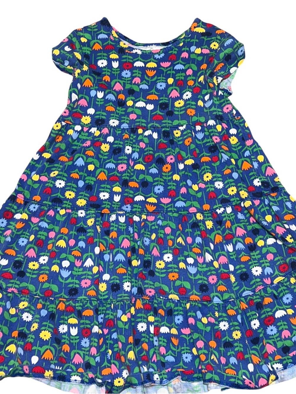 Hanna Andersson Blue Floral Sundress with Multicolor Blooms